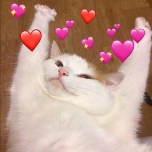 Meet your Posher, Aryel